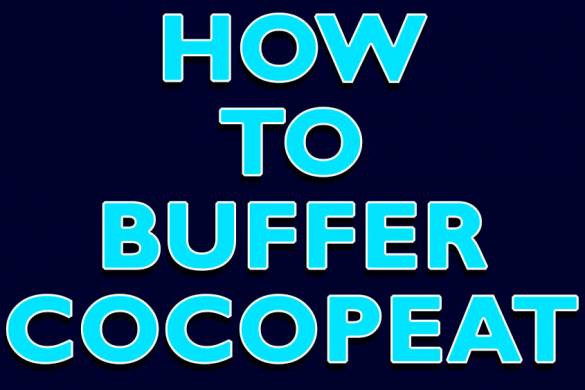 How to buffer Coco Peat-Complete Guide