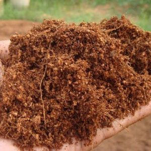 How and why to properly wash Coco Peat