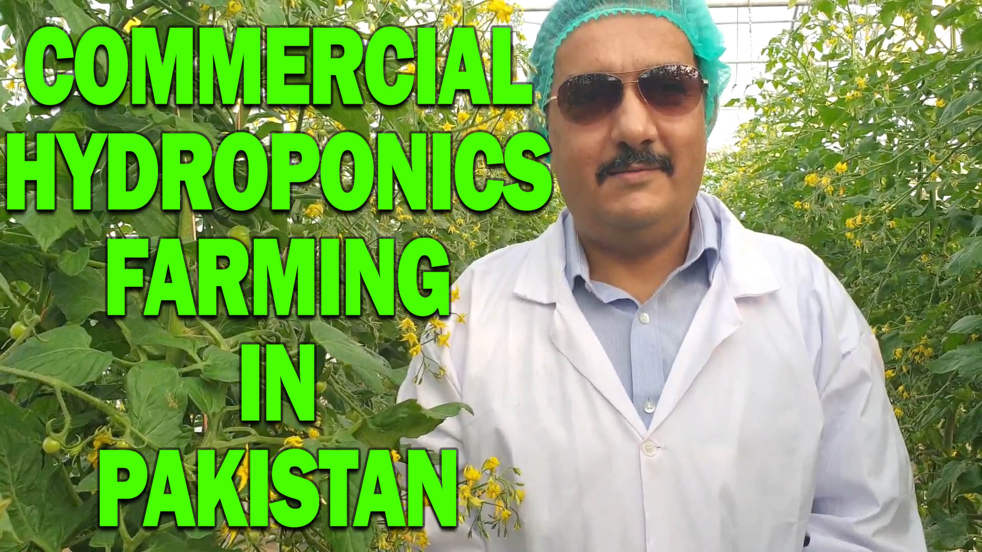Commercial Hydroponics Farming In Pakistan
