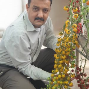 Hydroponics Farming in Pakistan - Pakistan Hydroponics Greenhouse 2021