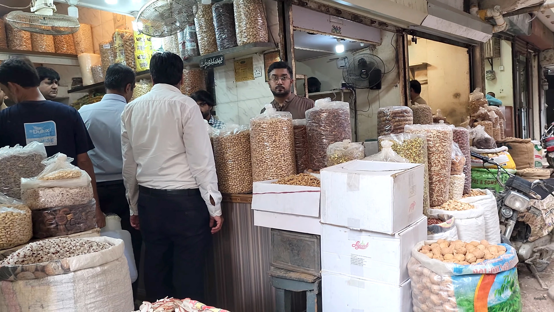 All types of Pure Organic Oil, Coconut Oil, Neem Oil, Mustard Oil-Wholesale Rate-World Wide Delivery - All types of dry fruits on wholesale rates