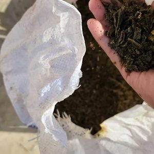 How to make soil conditioner, Mustard Cake Khalli, Coconut Cake Khalli, Almond Cake Khalli, benefecial bacteria, Mycorrhiza helper bacteria, prevent root knot nematode