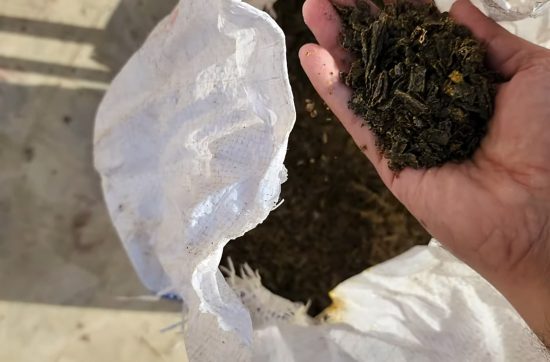 How to make soil conditioner, Mustard Cake Khalli, Coconut Cake Khalli, Almond Cake Khalli, benefecial bacteria, Mycorrhiza helper bacteria, prevent root knot nematode