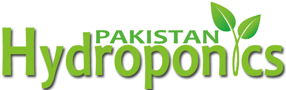 Pakistan Hydroponics – Hydroponics farming in pakistan