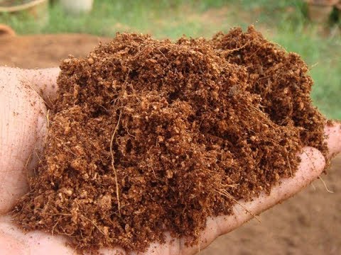 How and why to properly wash Coco Peat
