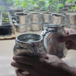 No Hydroton, No Rockwool: Pepper Plants in a Glass Jar Kratky SetupNo Hydroton, No Rockwool: Pepper Plants in a Glass Jar Kratky Setup