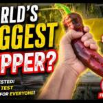 Worlds-Biggest-Pepper-grown-in-Hydroponics-System