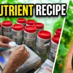 How to Make Hydroponic Nutrients for Cucumbers — Complete DIY Recipe for Beginners