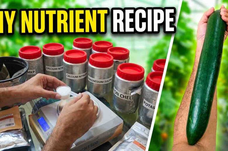 How to Make Hydroponic Nutrients for Cucumbers — Complete DIY Recipe for Beginners